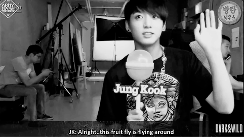 jungkookandthefly