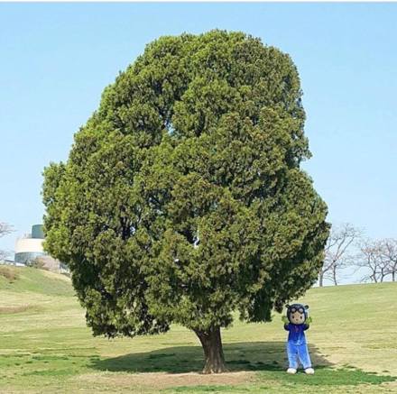 23432212_1722741641132283_483861461_o